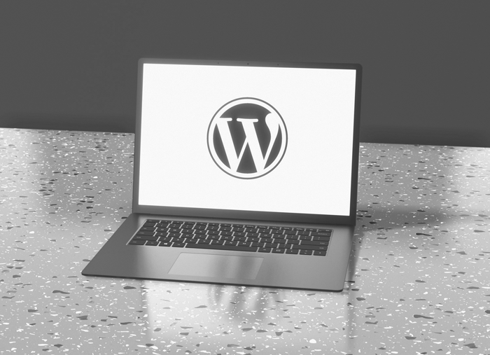 wordpress training computer